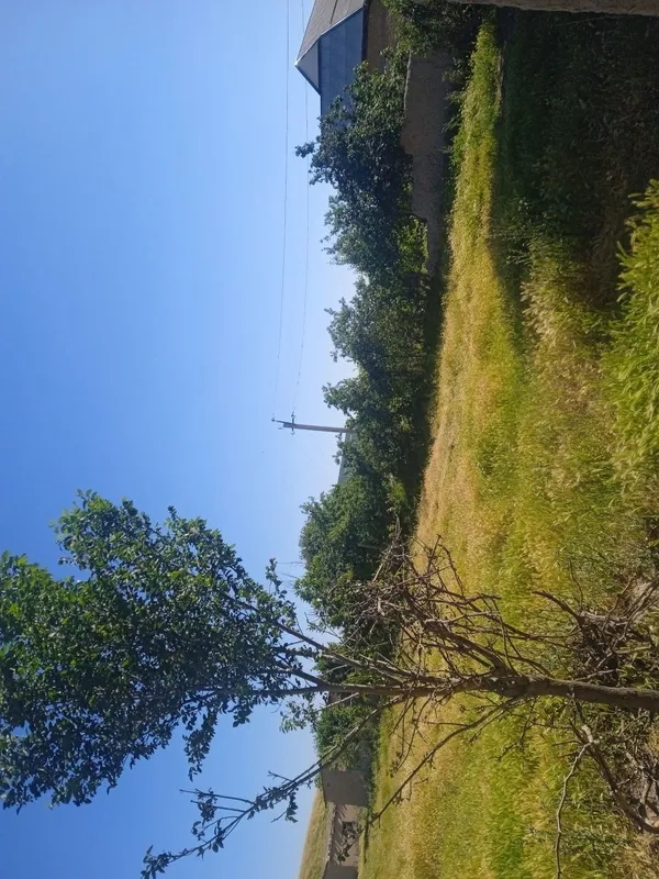 Uchastka yer sotiladi srochna 1