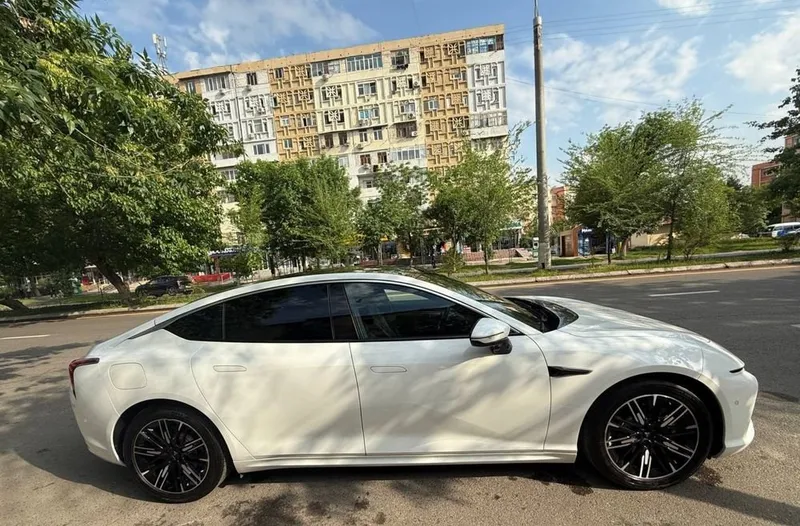 Neta S, гибрид, состояние отличное 1 Neta S, гибрид, состояние отличное 1