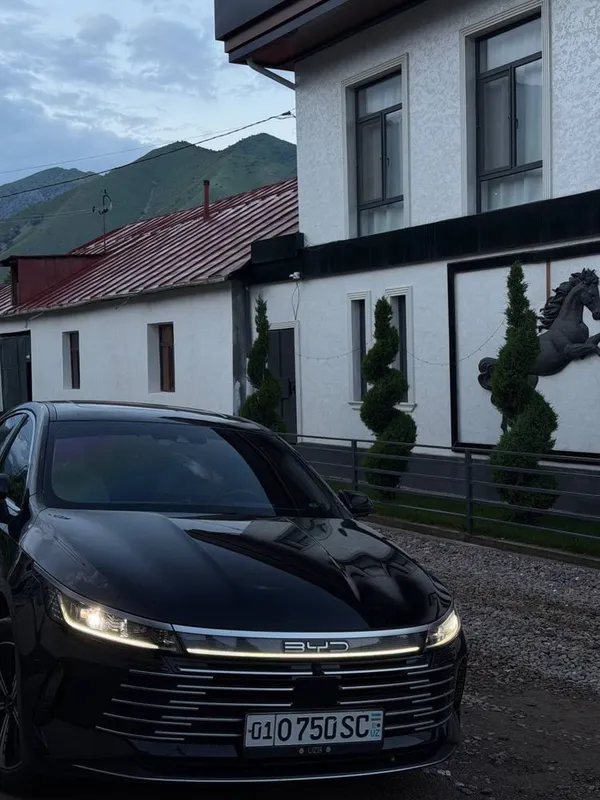 Byd Chazor champion 120 flagship 2024 NFS kartali Byd Chazor champion 120 flagship 2024 NFS kartali