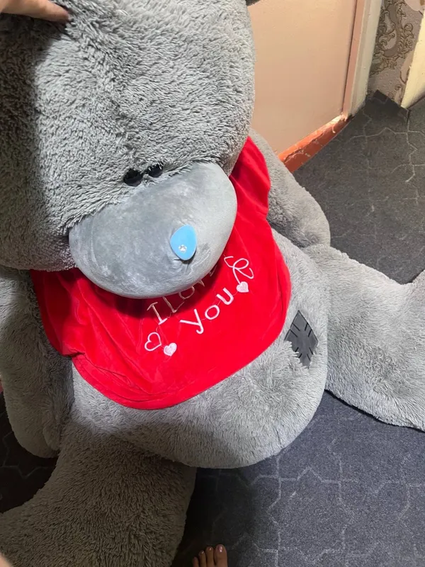 Teddiy yangi tez soʻriladi pul zarur 1 Teddiy yangi tez soʻriladi pul zarur 1