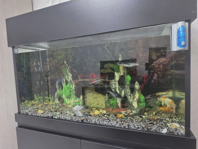 Yangi Akvarium sotiladi ! 3 Yangi Akvarium sotiladi ! 3