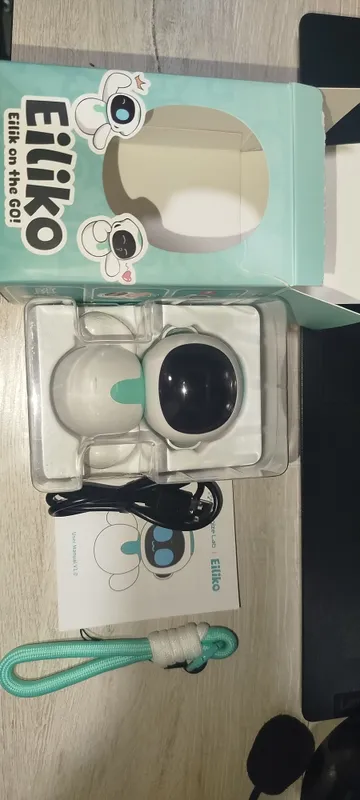 Ai robot Eiliko