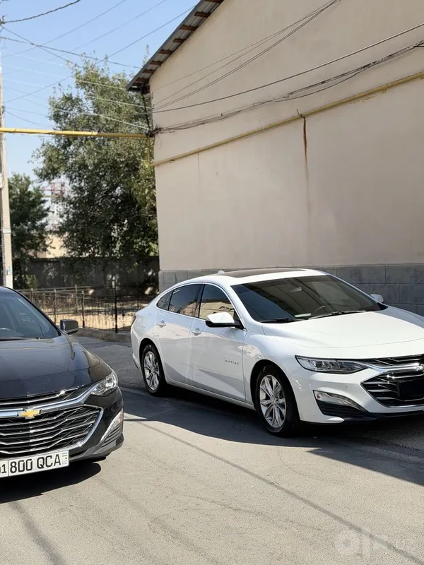 Malibu Premer 2022 yil 5 Malibu Premer 2022 yil 5