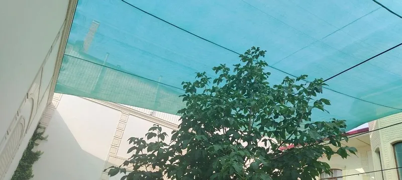 Сойа сетка хизмати 2