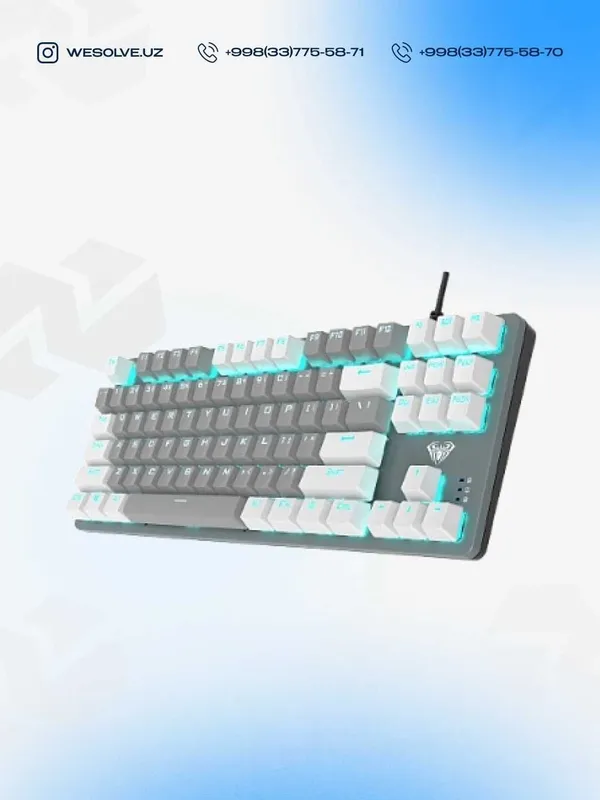 Клавиатура механическа проводная AULA F3287 (TKL 80%)
