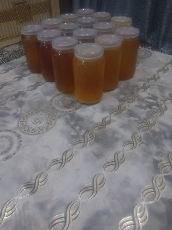 Taplonoe sariyo