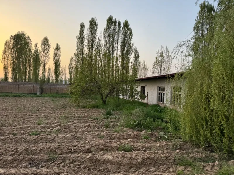 Yangiyolda 20 sotik ferma sotiladi hama sharoit bor — фото 2