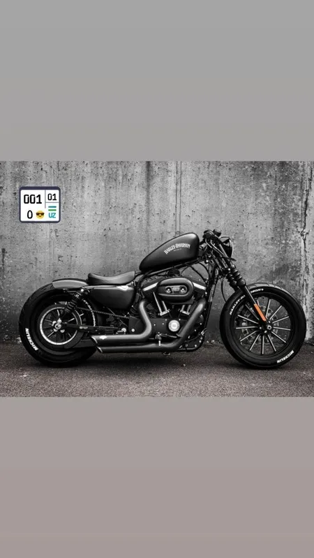 Harley Davidson sportster 883 iron custom 5