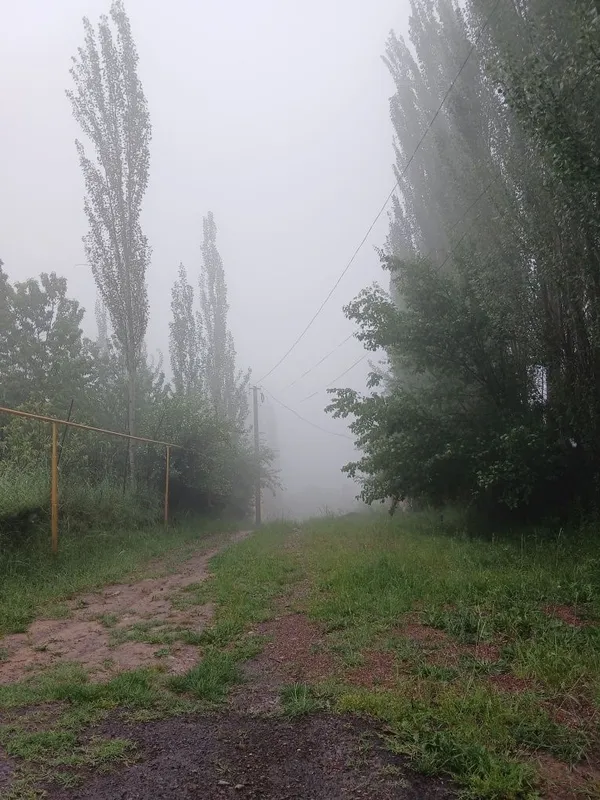 Kumiwkonda yer bor 12 sotik sotiw srochna — фото 3