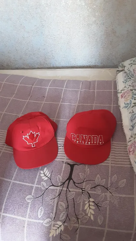 Новый и канадский