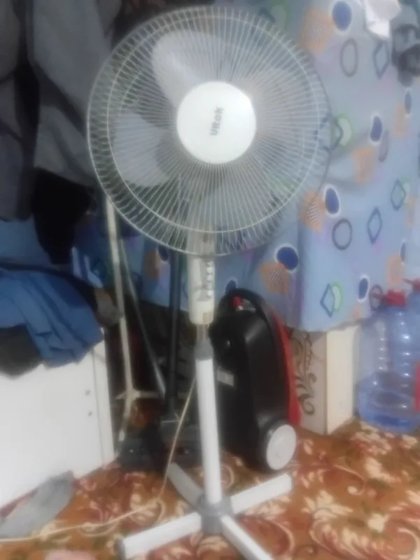витек витек