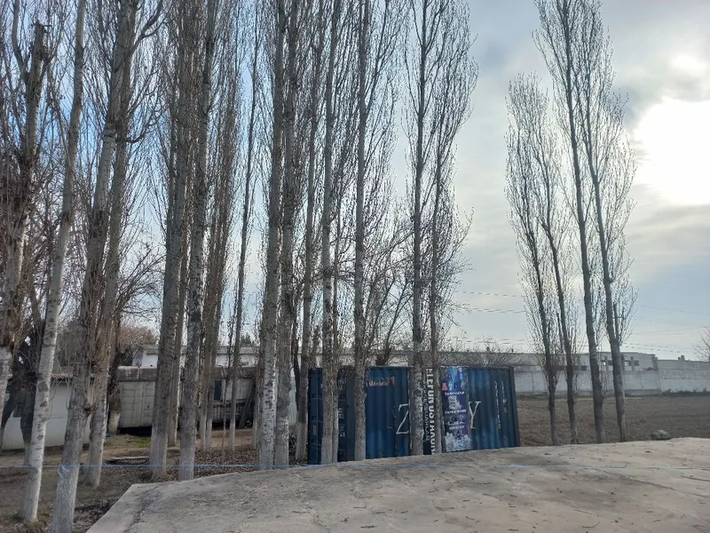 тайёр кантейнер дукон — фото 1