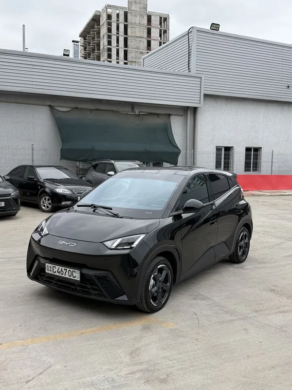 BYD seagull 405 full official tozza