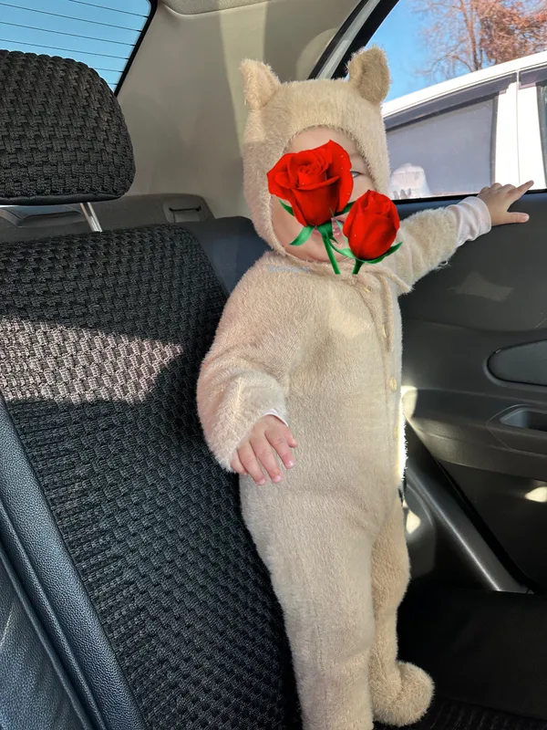 Teddy bodi
