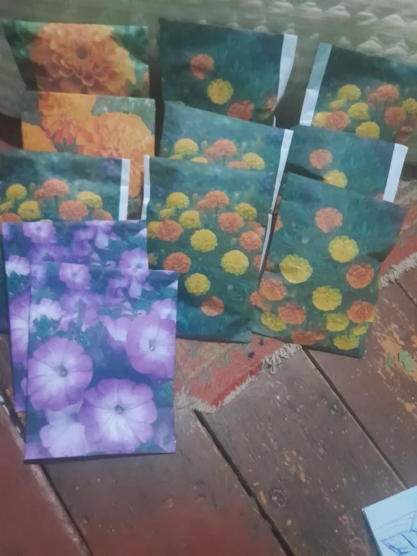 Shafran, tagetes, petunia urug' 1