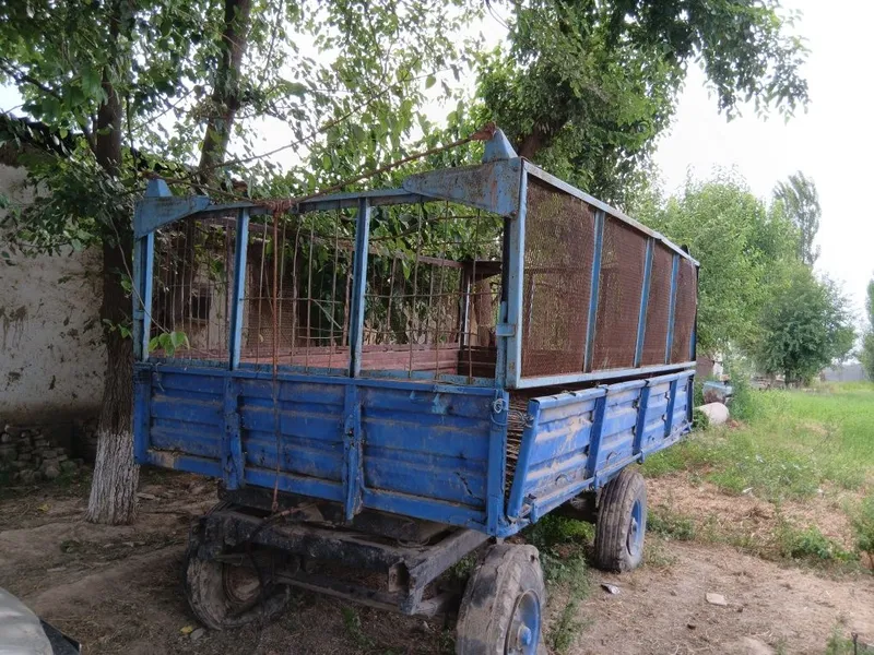 Telechka sotiladi 2 Telechka sotiladi 2