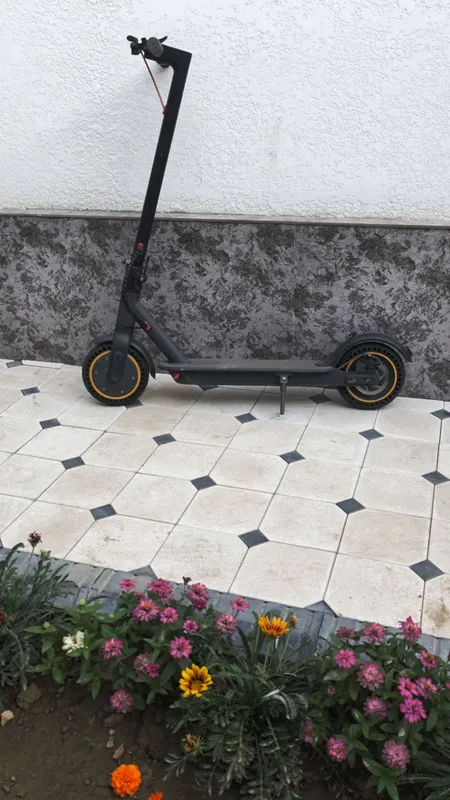 Elektro somakat