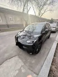byd seagull pod zakaz