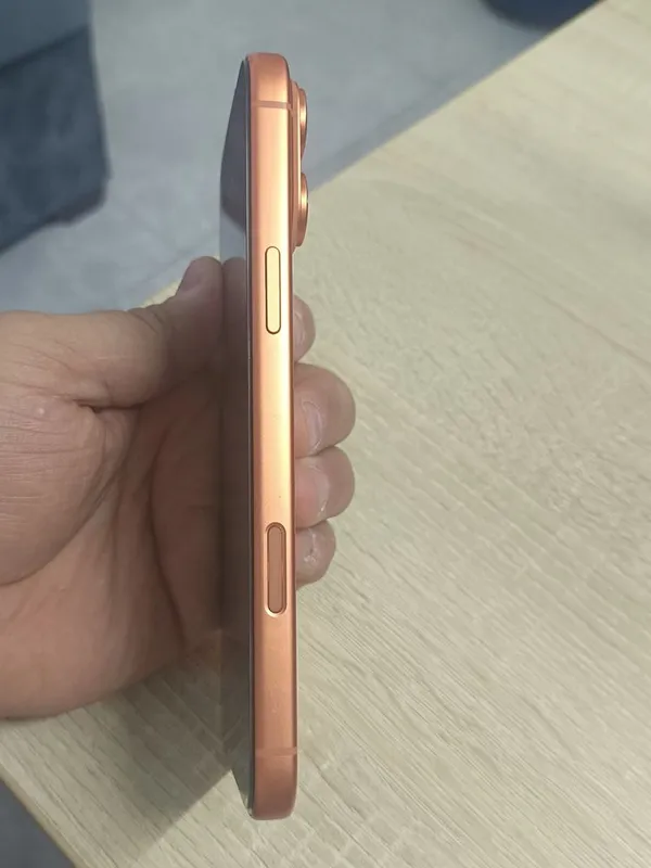 17 pro max 256gb 2