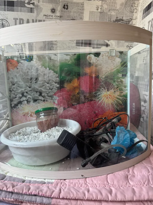 Ozuqa va suv osti toshlari bilan akvarium sotaman 1 Ozuqa va suv osti toshlari bilan akvarium sotaman 1
