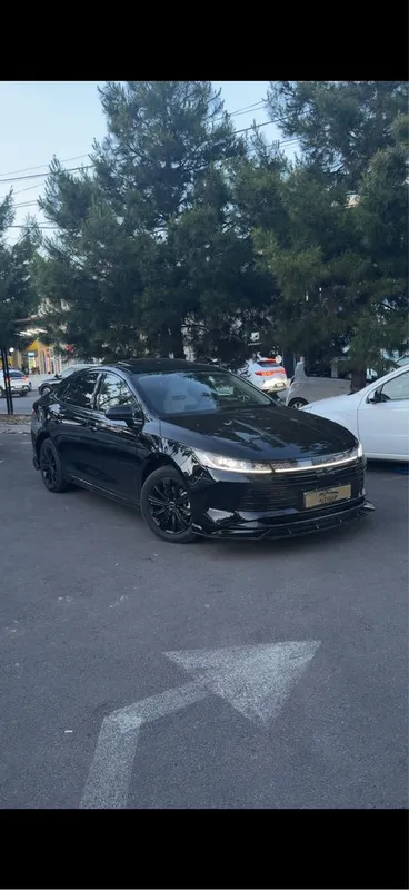 Byd chazor full xullas navaroti bilan srochna