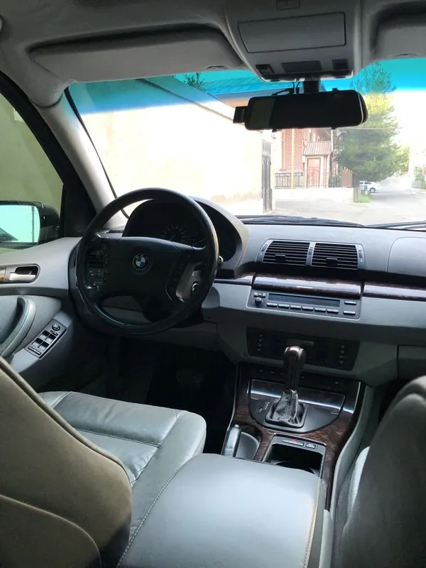 BMW X5 E53 (2001-yil) 7