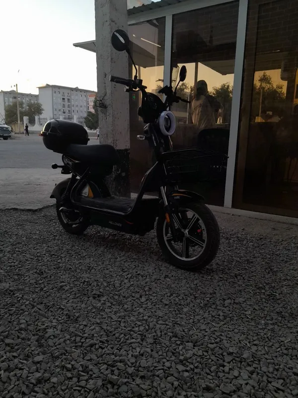 Elektro skuter Elektro skuter