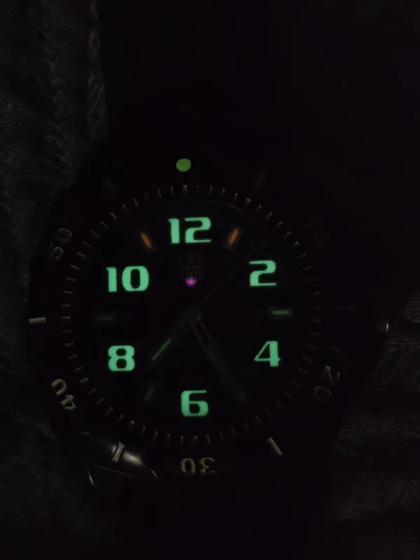 Мужские часы Luminox Series 0200 — фото 3