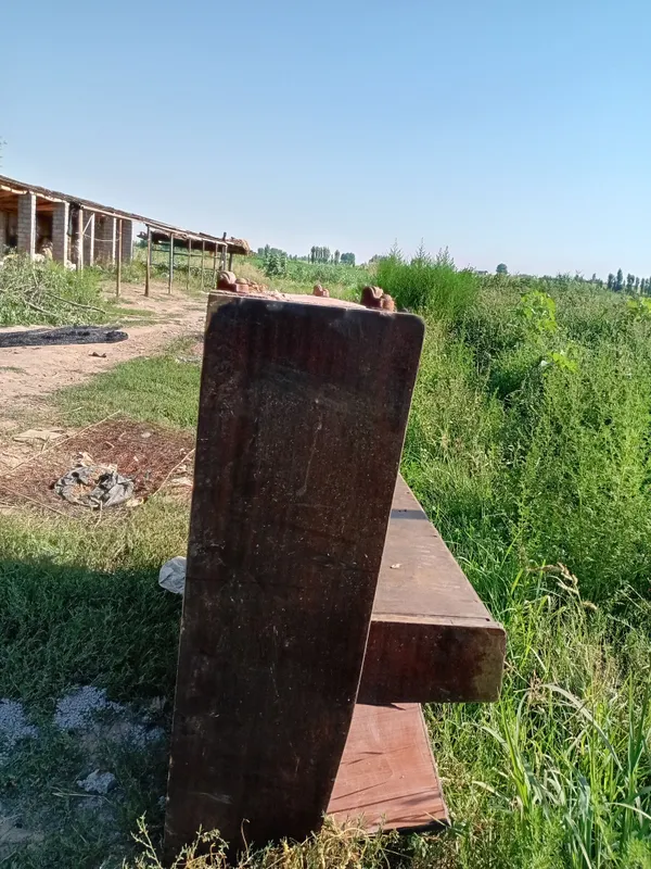 pianina sotiladi teskari koyilga 3 pianina sotiladi teskari koyilga 3