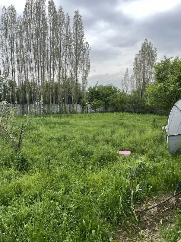 Урта чирчик тумани — фото 3