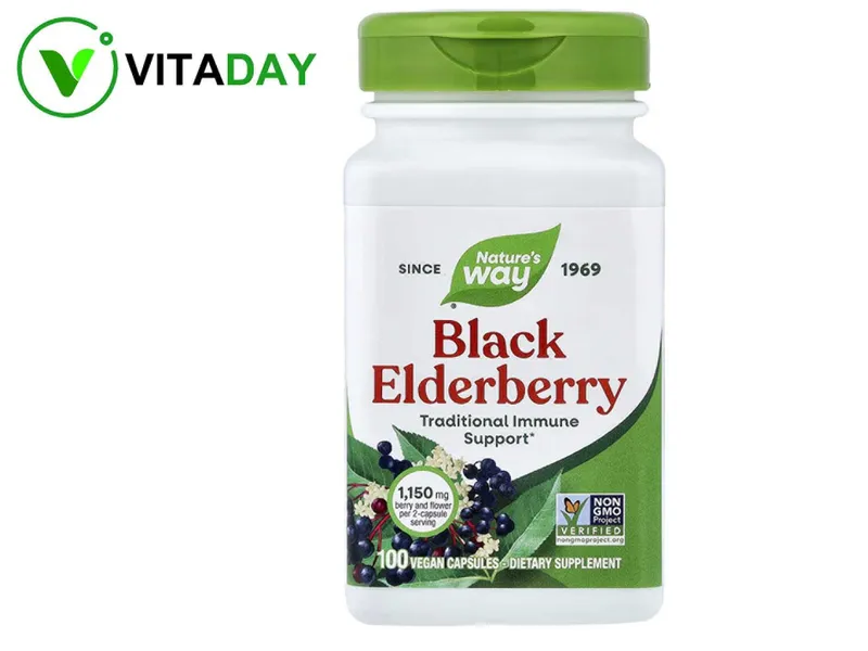 Nature's Natures Way черная бузина Black Elderberry