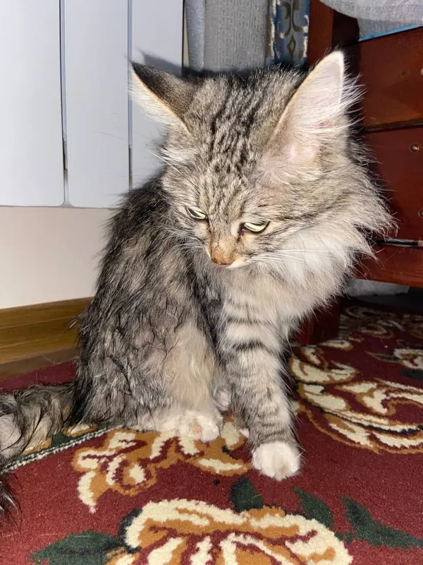 Faqat Termiz shahrida 1 Faqat Termiz shahrida 1