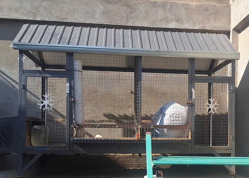 Tovuq katak sotiladi, zamonaviy, g'ildiraklari bor 3