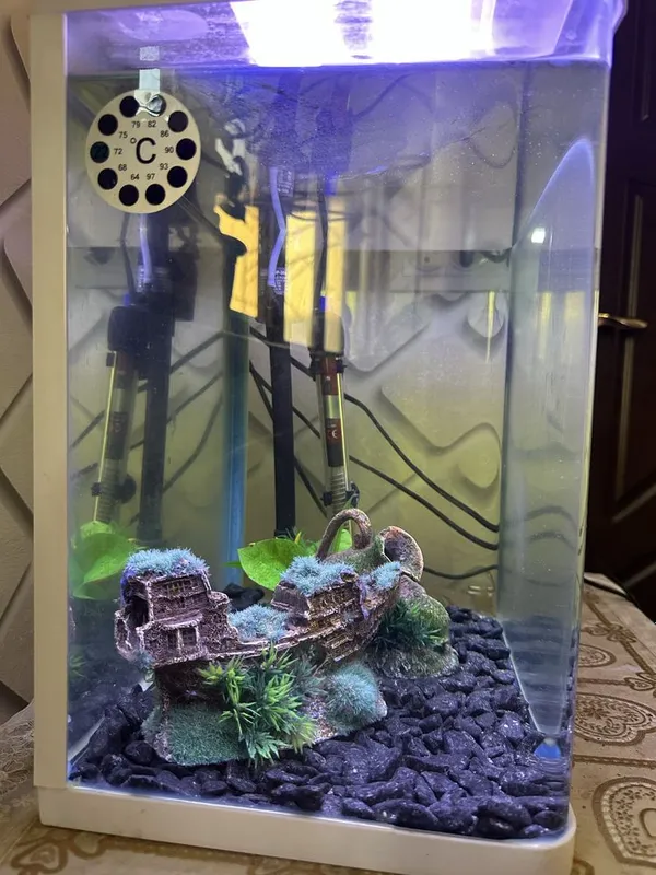 Akvarium 30 litr hamma narsasi bilan — фото 2