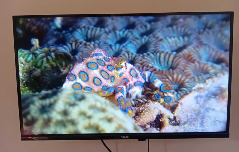 Телевизор Roison Smart TV 32' — фото 3