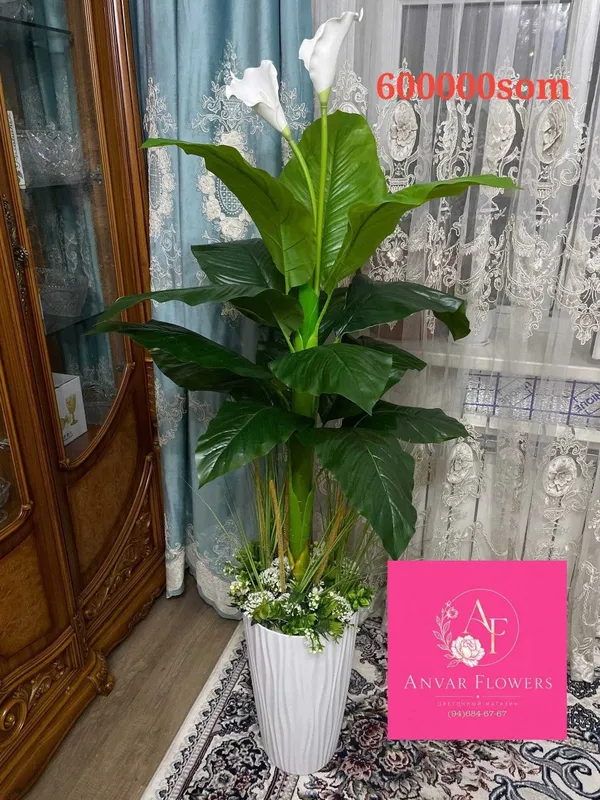 gullar darahtlar sotiladi sakura kala atrgul продается цвети и дерево — фото 4