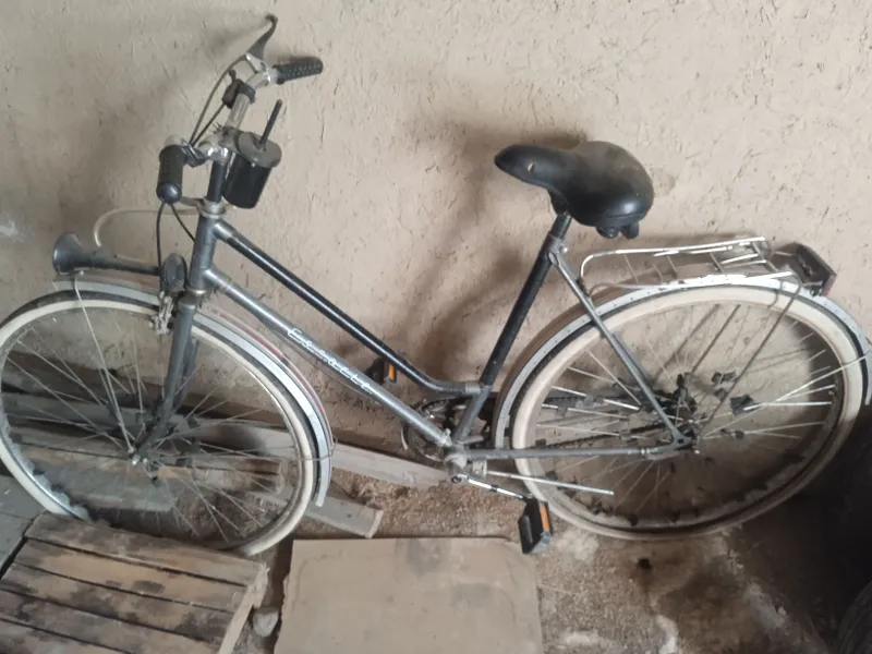 velosiped oladiganlar  telefon qilsin 1