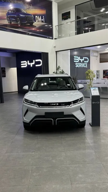 BYD YUAN UP Flagship Ev 401km 2
