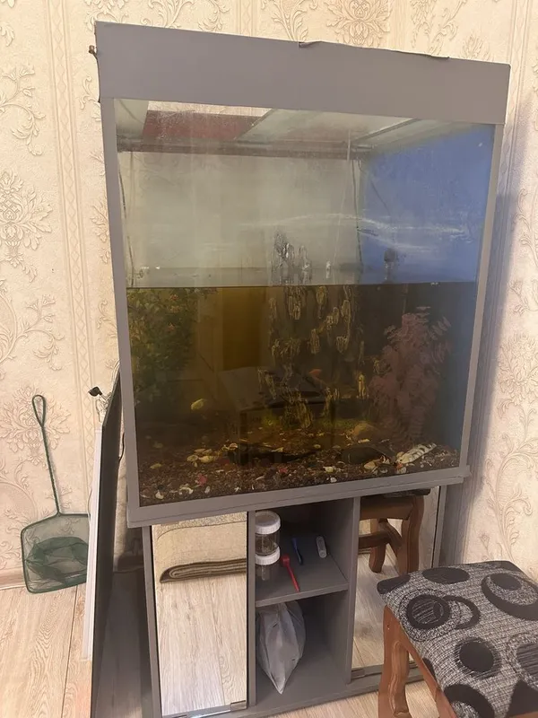 Akvarium olib ketish 1