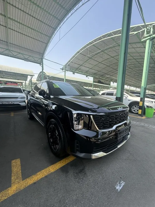 Kia Sorento 2023 года, двигатель 2.5 3 Kia Sorento 2023 года, двигатель 2.5 3