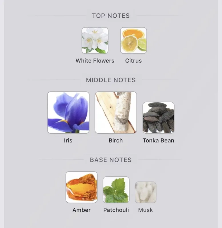 Modest от Saber Premium Perfume 2 Modest от Saber Premium Perfume 2