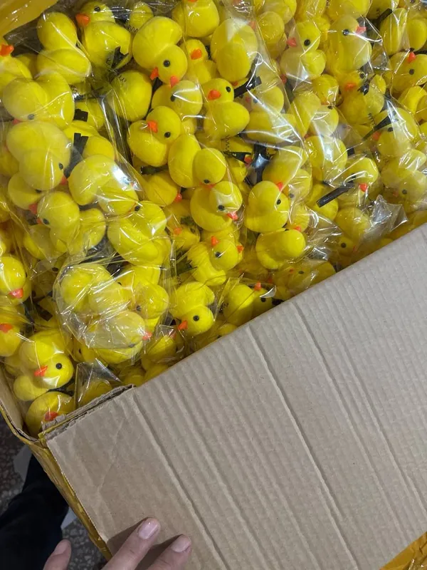 prujinali joʻjacha zagolkalar