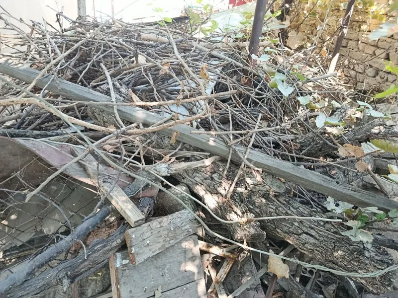 Дрова бесплатно забирайте 2