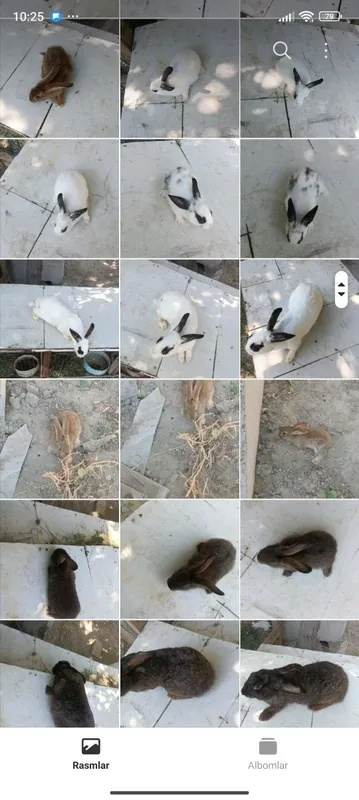 Quyon Chisti flander moda erkaklar bolalaridan ham bor 3