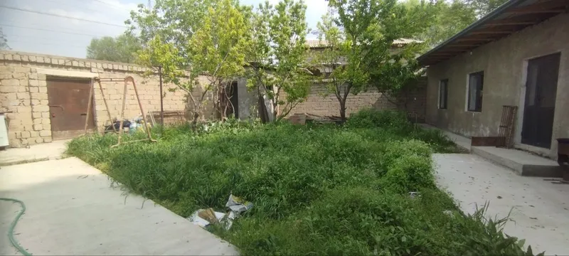 Qibrey Tashgress uchastka narxi 35000 keliwiladi 6