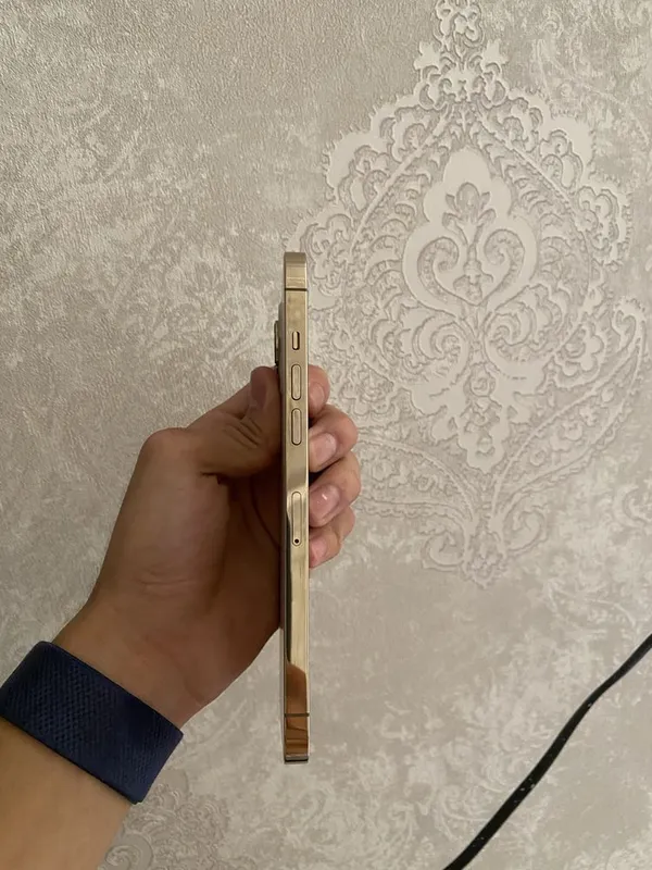 iphone 12 pro max холати идеал 2