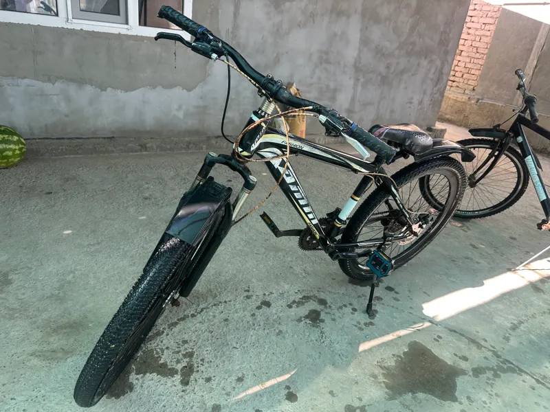 Velosiped 5