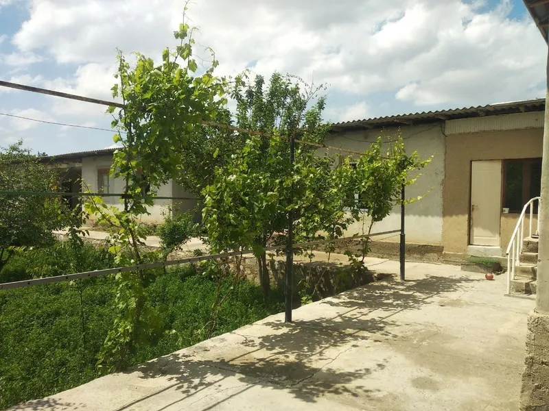 Hovli 8 sotix Navoiyda