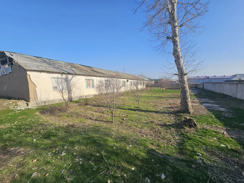 Zarbdor eski bustonda arzonga yer sotiladi — фото 3