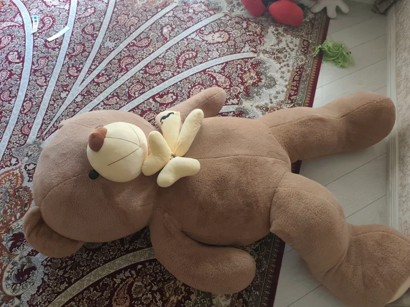 Teddy oyinchoq Teddy oyinchoq